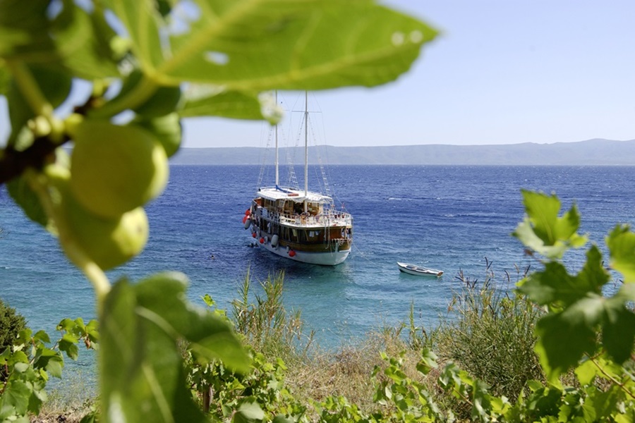 Vollcharter Kreuzfahrt mit MS Aneta ab Trogir