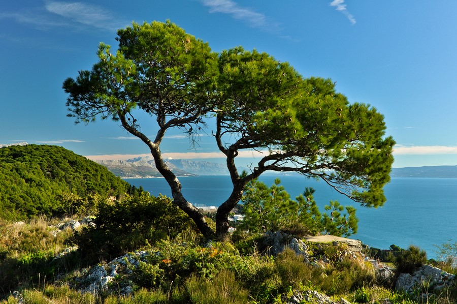 Aktivferien Dubrovnik Inseln Multisport