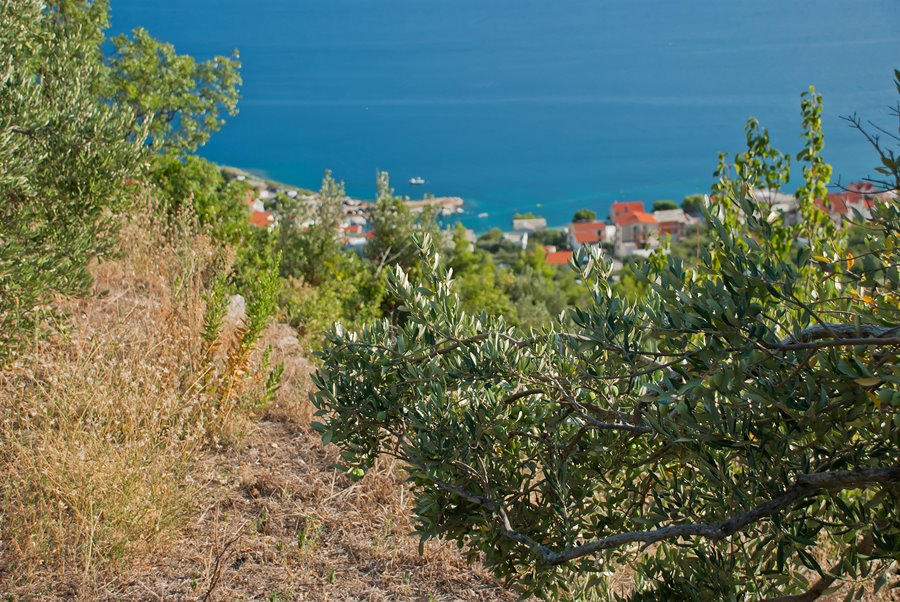 Gemütlich wandern in Dalmatien - geführte kleine Gruppe