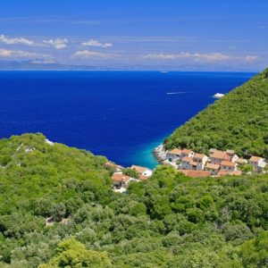 fde2cf6c7a186ff24f01842a72054902