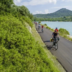 zb_telascica_001_1024