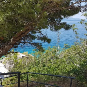 20170731_130649mimice_1024