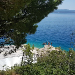 20170731_130806mimice_1024