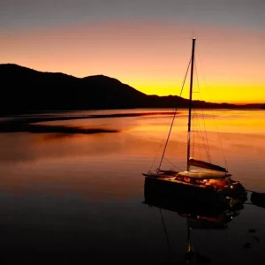 Cat-mood-header-1-scaled_1024