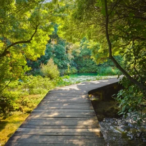 Pathway-in-KRKA-park-at-Croati-18415349_1024