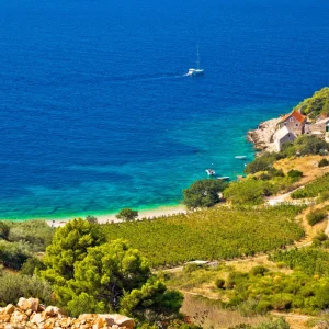 bigstock–153842795_1024