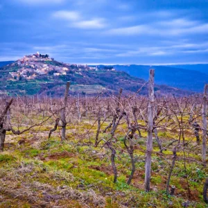 bigstock–222838162_1024