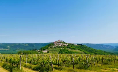 IMG 20210603 103300 1024