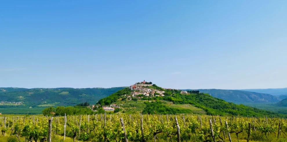 IMG 20210603 103300 1024