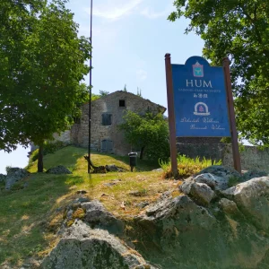 IMG_20210609_105447_1024