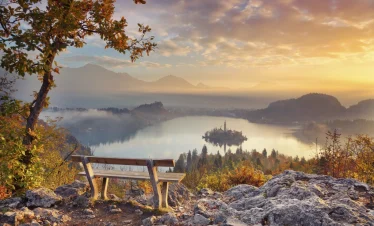 bled